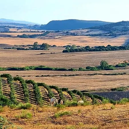 La Parrilla Maison Piscine Nature Chevaux